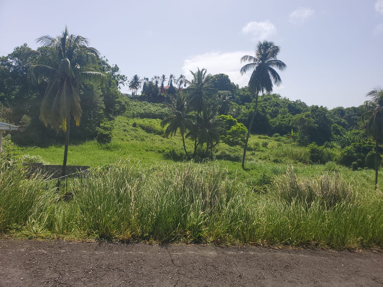 1c2dc4e6 2e3e 4d0f a203 aeb3fe531626 (1)